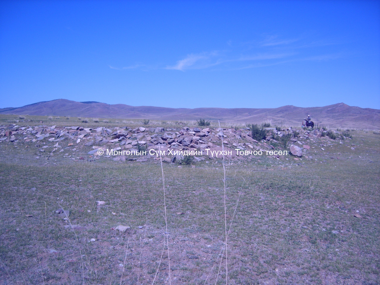 Баруун талаас авсан